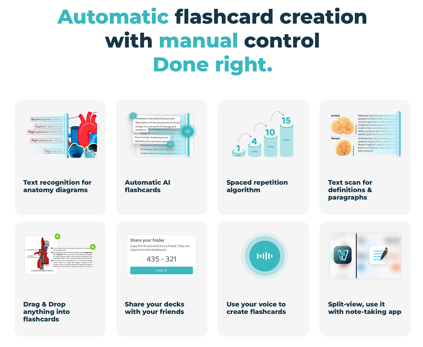 automatic flashcard creation with manual control