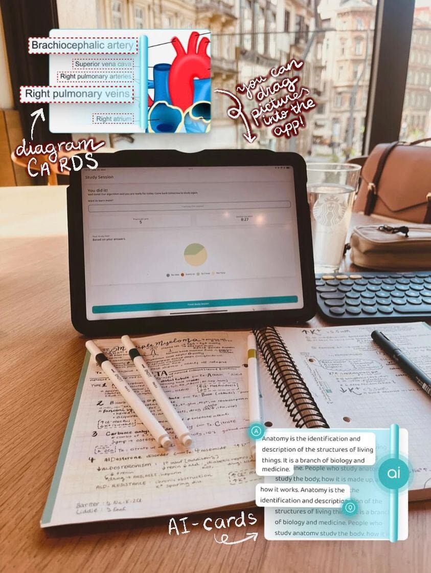 voovo study session