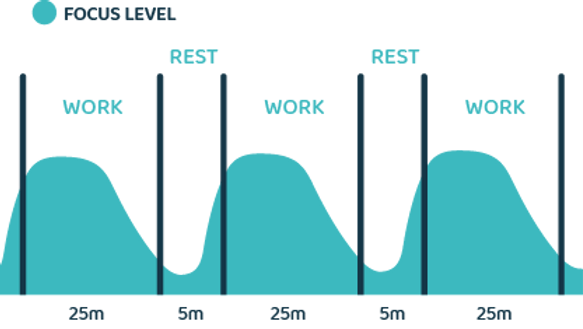 focus levels while studying