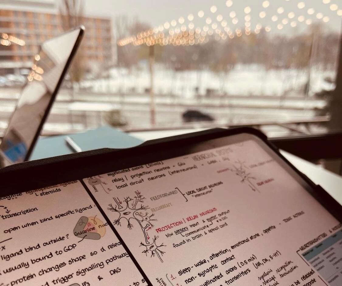 voovo studying
