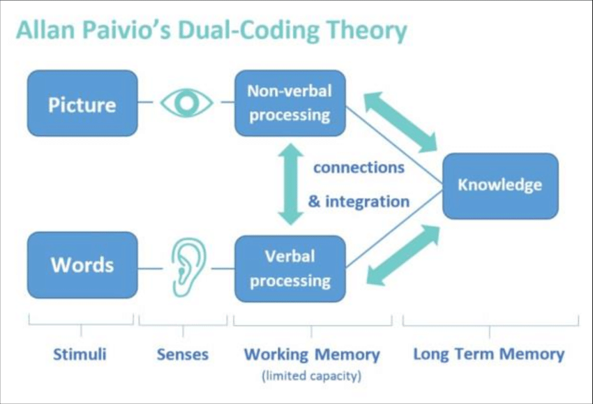 allan paivio dual coding theory