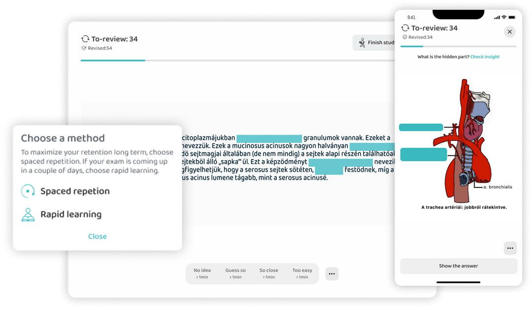 customizable medical flashcard