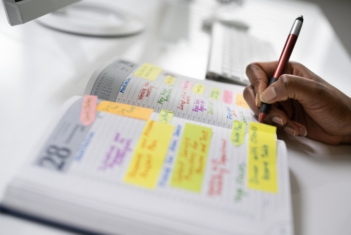 study schedule medical school